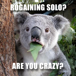Disdvantages of Solo Rogaining